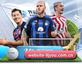 website-9jyou.com.cn的故事